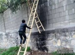 深度软件频道_天极网